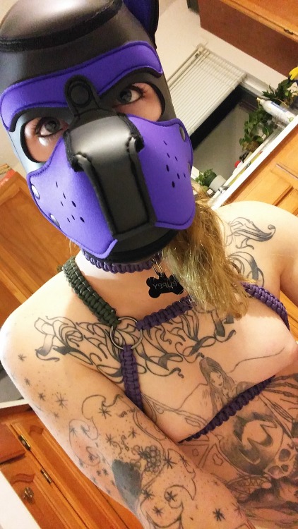 clankess123: New puppy hood came in today