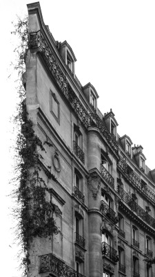 let-s-build-a-home:  Limit of the inhabited world. Place Cambronne, Paris. by Philippe Lenepveu, 2013.