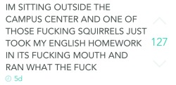 1989nihil:thomasthetalkingengine:A thrilling saga from my schoolat least they now have two seperate witness accounts that a squirrel took their homework, should their teacher not belive this story.