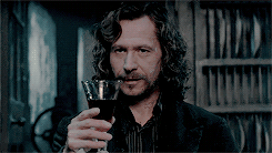 thominho:  hp meme: [3/9] characterssirius black: we’ve all got both light and