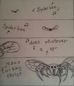 Spider Bee