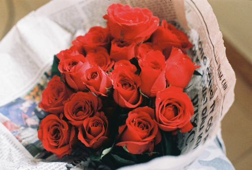 floralls:    (via Untitled | Flickr - Photo Sharing!)   