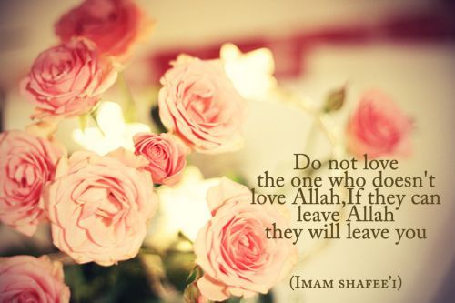 Imam Ash-Shafi’i on Love“Do not love the one who doesn’t love Allah. If they can leave Allah they will leave you
(Imam Shafee'i)”
www.IslamicArtDB.com » Photos » Photos of Plants » Photos of Flowers » Photos of Roses
Originally found on:...