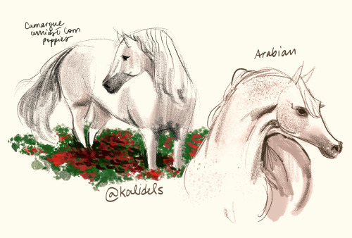 Some horsies I drew for friends :”) ✨✨