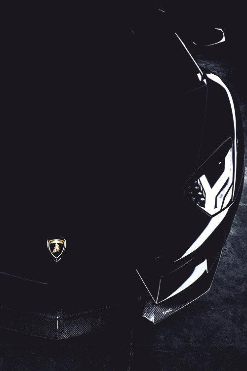 XXX italian-luxury:  Black Bull  -  Lamborghini photo