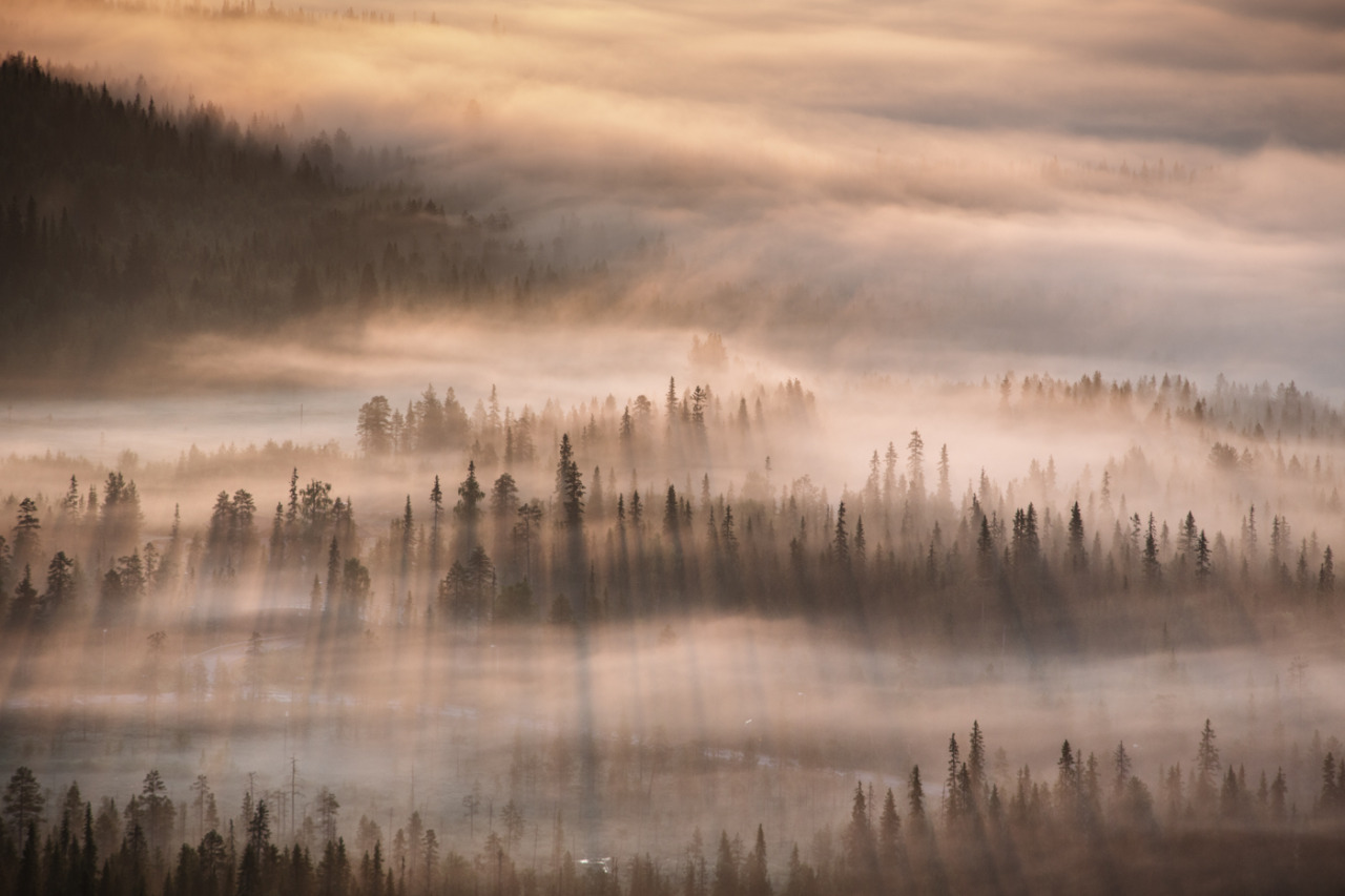 tiinatormanenphotography:  Sunrise shadows. July 2015, Iso-Syöte, Finlandby Tiina