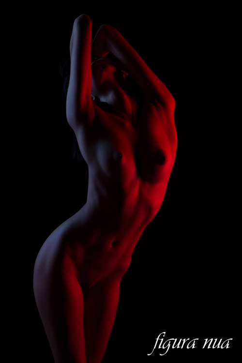2375823:Model: KalopsiaPhotograher: Figura Nua