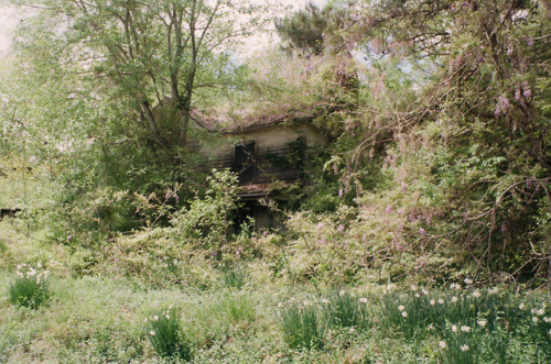 freakscircus:Abandoned houses of North Carolina@churchrummagesale