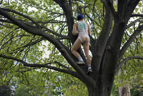 aussiespacetimetraveller:  Climb a tree they said! so I did…  