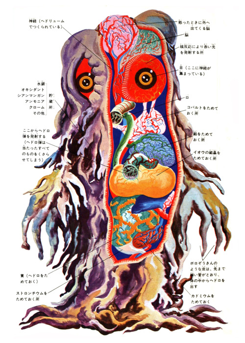 unexplained-events:Godzilla vs Hedorah Anatomical Illustration 