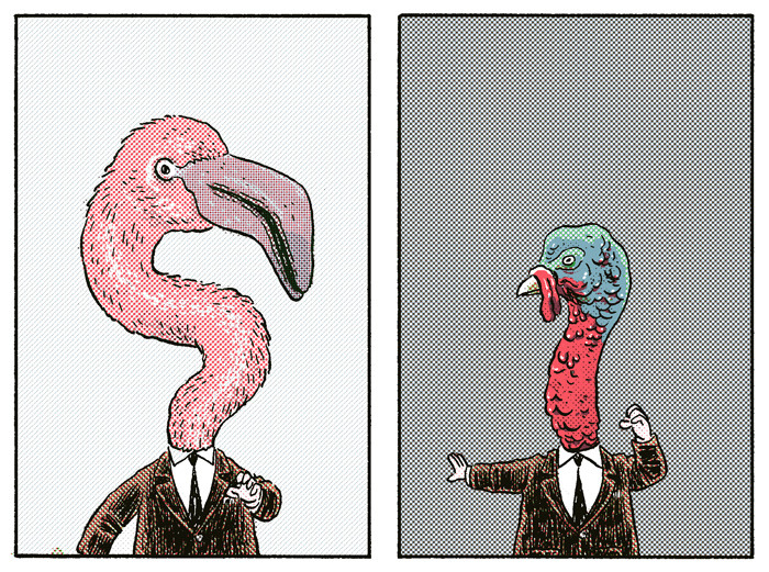 H.: Flamingo, Turkey
Preview from my four-page story in the upcoming Nobrow #8, “Hysteria," available for preorder now. I’ll be running two panels a day over the next month, leading up to its release at the Toronto Comic Arts Festival.