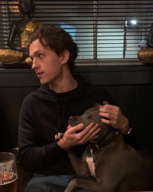 starksparker: He’s so cute!!