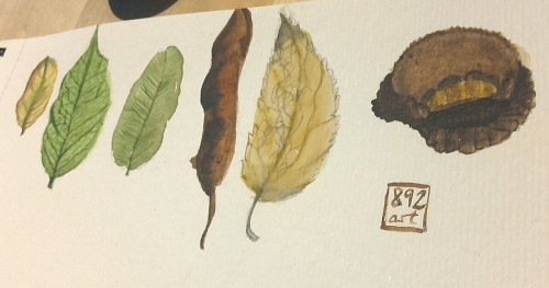 Rainy autumm nights with thunder storms are the best to do sum water colouring