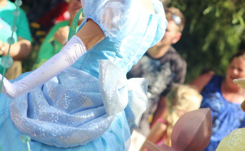 justlikedisney: A Gown Fit for a Princess