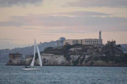 Alcatraz #Alcatraz #SanFrancisco #ocean