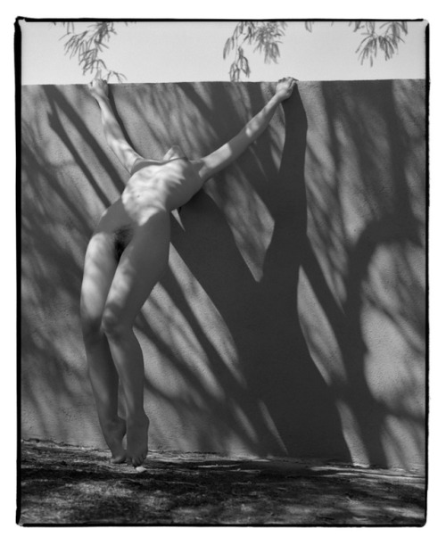 From the series “Show Some Skin” by Michael Marlborough