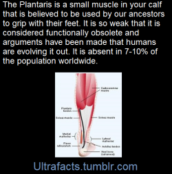 ultrafacts:    (Fact Source) for more facts, follow Ultrafacts   