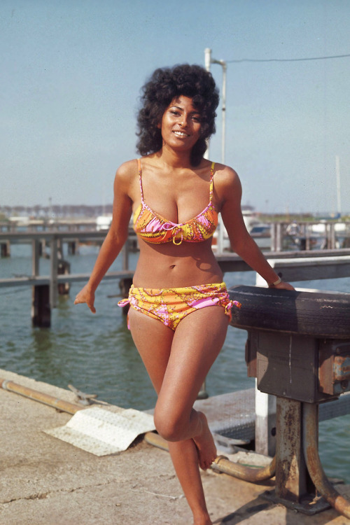 retrodreamin:  Pam Grier porn pictures