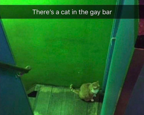 Idk If This Has Been Done Already But Here You Go. Atsushi In The Gay Bar.
