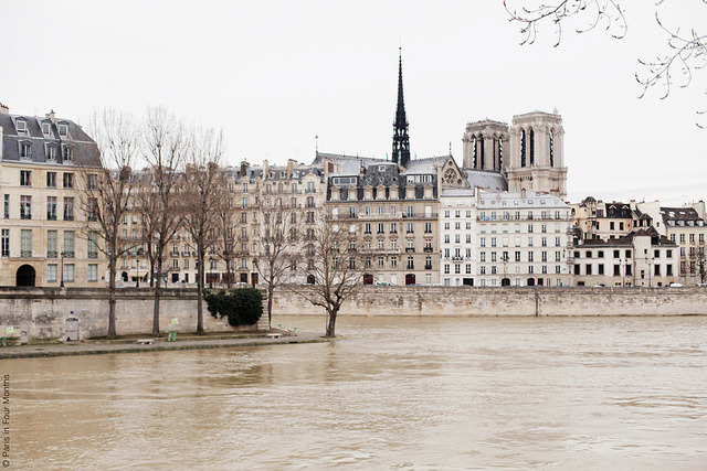 ysvoice:  | ♕ |  Île de la Cité et Notre Dame de Paris  | by © Carin Olsson