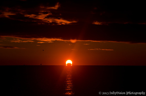 kenobi-wan-obi:  An Omega Sunrise Eclipse     The November 3rd sunrise eclipse over the Chesapeake Bay, from Chesapeake Beach in Maryland. These are stills from a time-lapse sequence I shot of the eclipsed sunrise. - Indy 