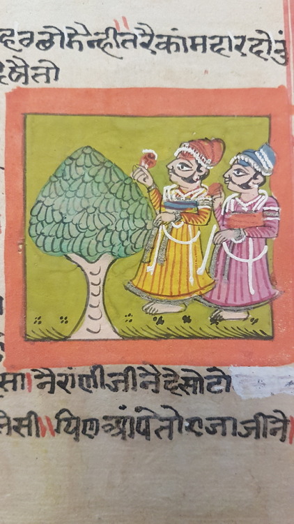 Ms. Indic 31 - Bhojacarita, भोजचरितThis is the story of Bhoja, an Indian king who reigned between 10