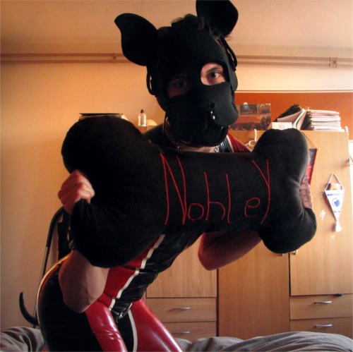 Sex gayboykink:  Look what the ever so cute @scoutpupp pictures