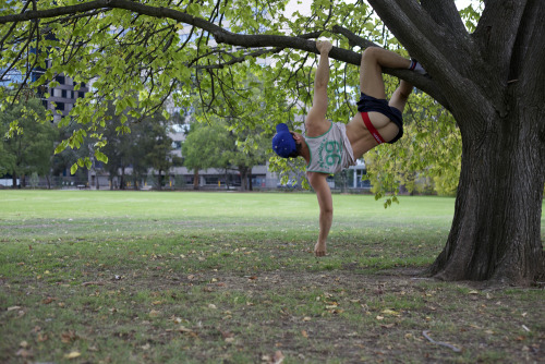 aussiespacetimetraveller:  Climb a tree they said! so I did…  