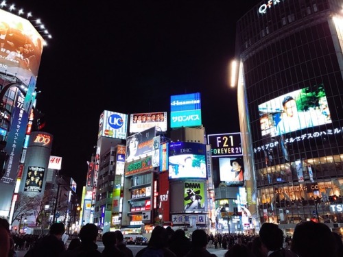 東京こんばんは~ Finally landed in Tokyo after 15 hours of flights! Staying right next to Shibuya crossing a