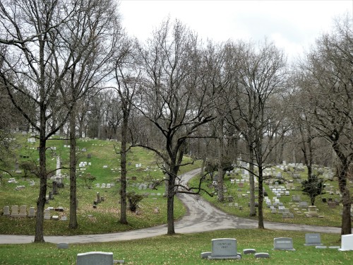 g63heavenonearth:Allegheny Cemetery 33120-14