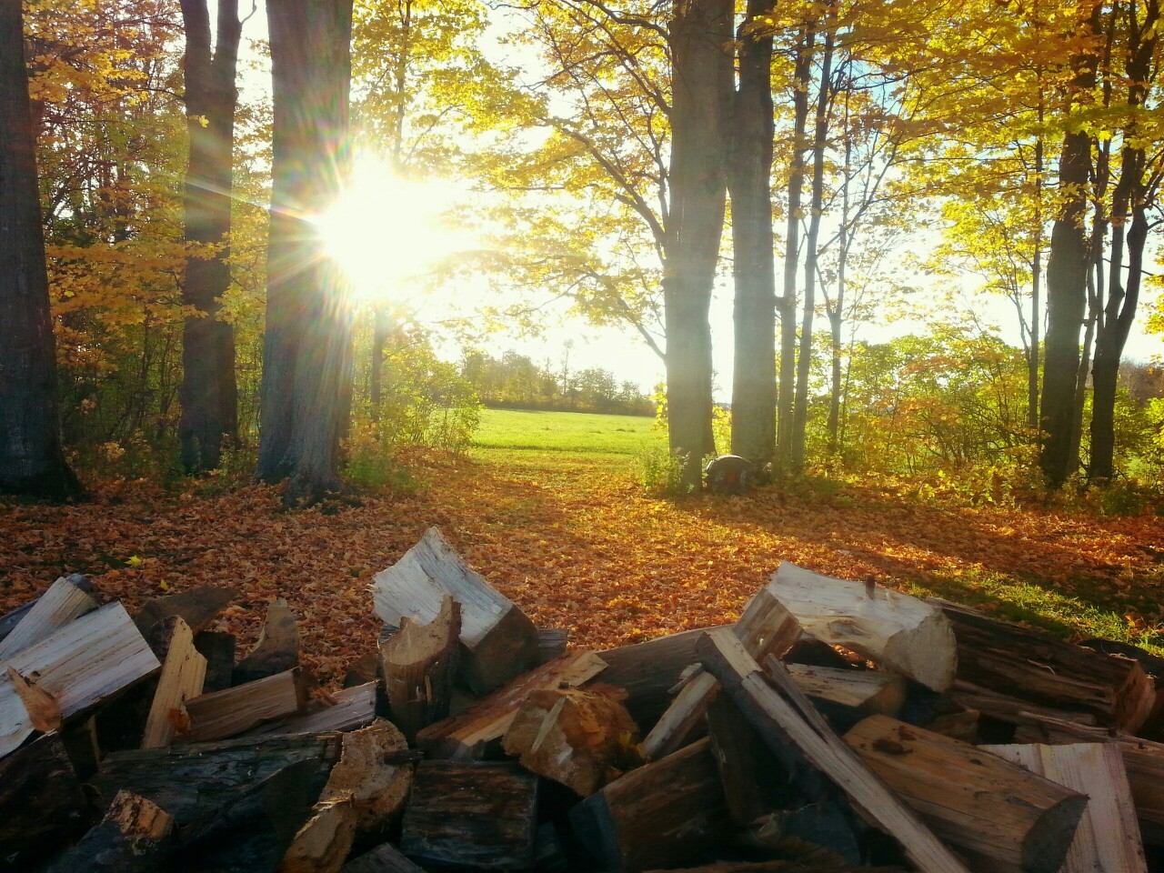 countryforthesoul:  Pretty colors
