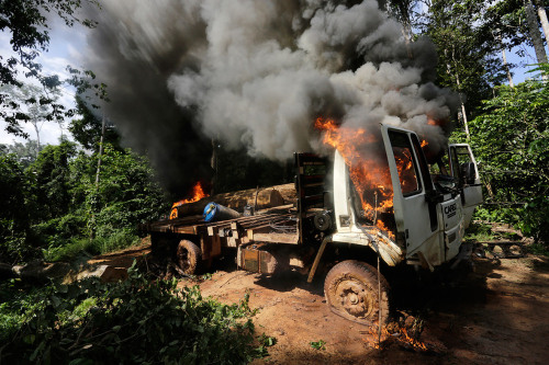 america-wakiewakie:  Amazon Indian Warriors Beat and Strip Illegal Loggers in Battle for Jungle’s Future | Warrior Publications   A group of warriors from Brazil’s indigenous Ka’apor tribe tracked down illegal loggers in the Amazon, tied them up,