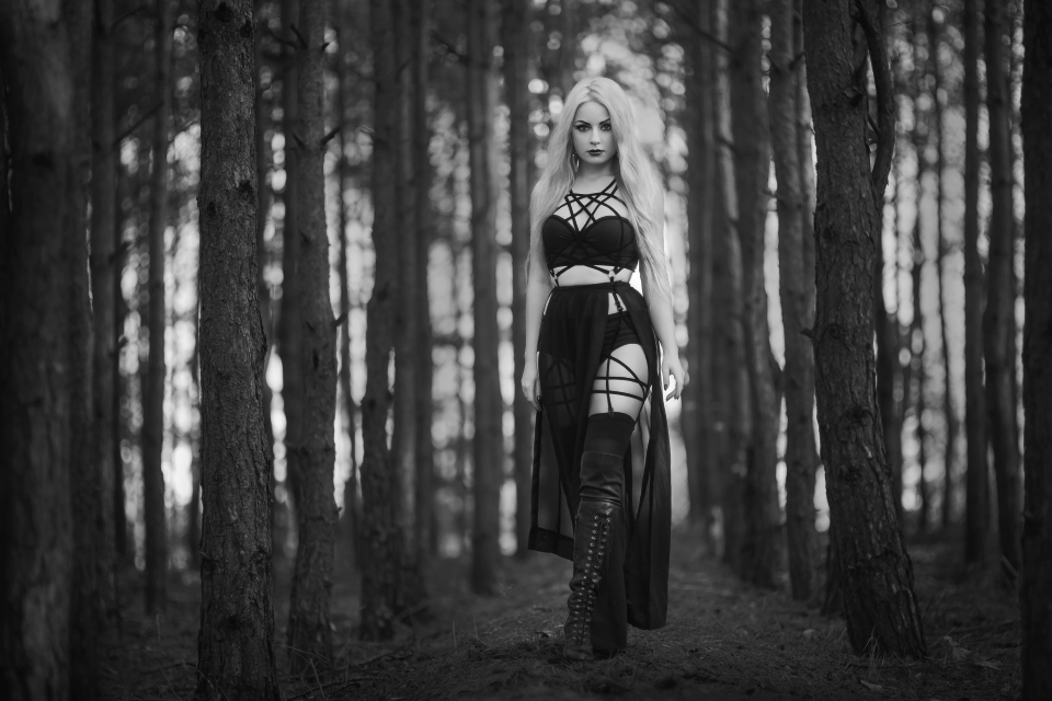heaven-will-fall:   Model: SilverrrPhoto: Aneta Pawska - Enchanted StoriesDress: