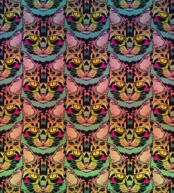 jtojto: Neon Tabby pattern available at my