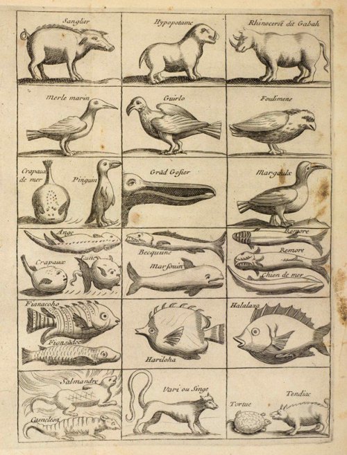 Étienne de Flacourt (1607-1660) illustrations of animals include the small Madagascar hippopo