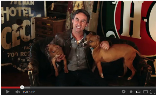 Mike Wolfe just got me all teared up. Go watch his Positive Pit Bull PSA!!