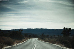 Joshua Tree 12.01.12