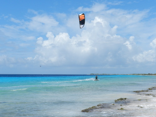 Day 3 Bonaire 2015