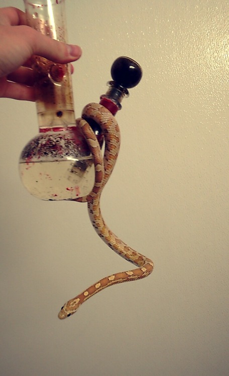 veroisvoinic:  Baby