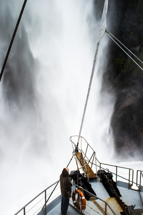 One of the more exciting parts of the Milford Sound cruise…getting an up close look at one of