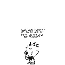 nevver:  Calvin and Hobbes 