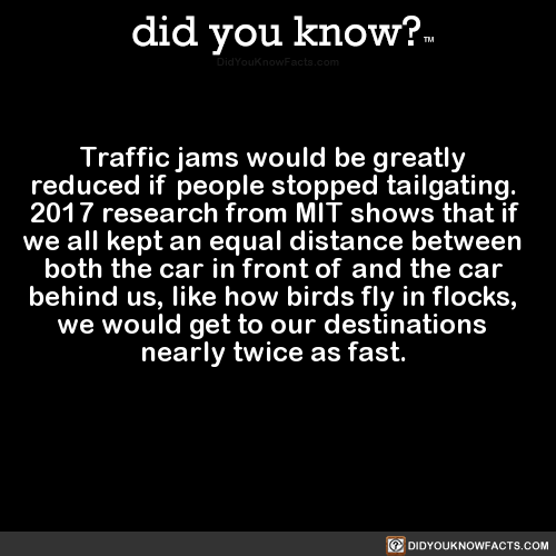 did-you-kno:  Traffic jams would be greatly   reduced if people stopped tailgating.   2017 research from MIT shows that if  we all kept an equal distance between   both the car in front of and the car   behind us, like how birds fly in flocks,   we would