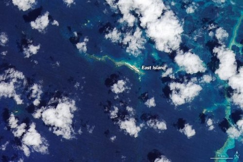 Just about wiped off the mapAn island in the French Frigate Shoals some 900km northwest of Honolulu 