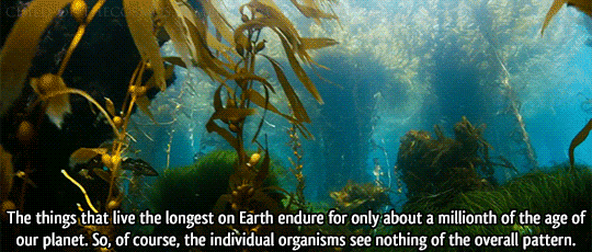 child-of-thecosmos:  Episode 9: The Lost Worlds of Planet Earth, Cosmos: A SpaceTime