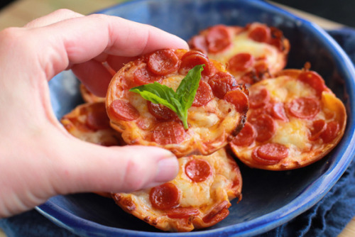 doityourselfproject:MINI TORTILLA-CRUST PIZZAS