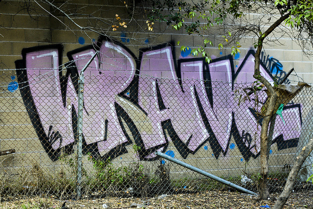 orgymiles:  Wrane by Say Cheese &amp; Die on Flickr.