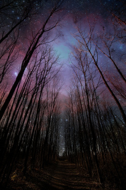 travelingcolors:  Jacobsburg State Park |