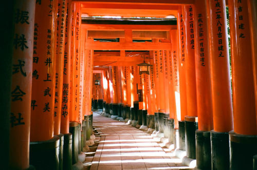 dreams-of-japan:京都 伏見稻荷大社 千本鳥居 by linolo
