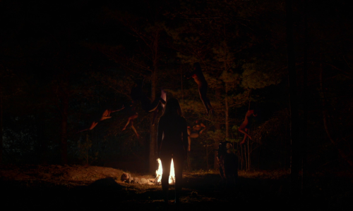 artfilmfan:The Witch (Robert Eggers, 2015)cinematography: Jarin Blaschke