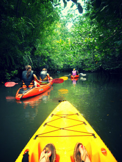 girlnearthebay:  kayak in the mangroves on Flickr. Andaman sea, Krabi, Thailand 